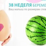 38th week of pregnancy: belly and watermelon