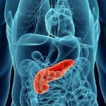 8 traditional medicine recipes for treating the pancreas