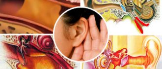 ear diseases