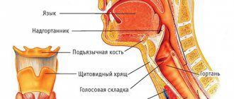Laryngeal stenosis