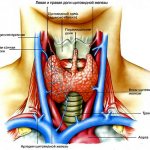 Diffuse changes in the thyroid gland