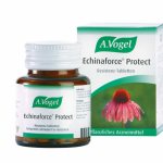 Echinacea – how to take it correctly