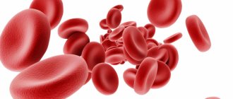 Эритроциты в крови: норма, почему превышены, основные причины у мужчин и женщин