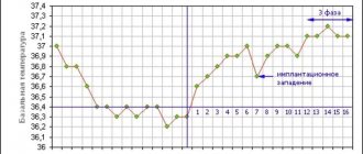 basal temperature curve during pregnancy