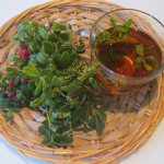 Medicinal properties and use of lingonberries in folk medicine
