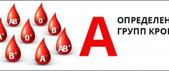 Determination of the main blood groups (A, B, O) and Rhesus - belonging