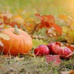 healthy vegetable pumpkin and apples in autumn foliage