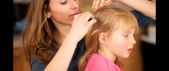Preventive examination of children for pediculosis