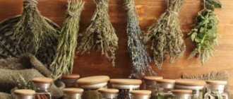 List of cough herbs