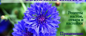 Cornflower blue